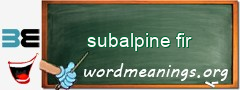 WordMeaning blackboard for subalpine fir